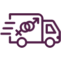 camion envio